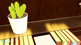 Books and small potted cactus plant shaded using hybrid toon shaders.